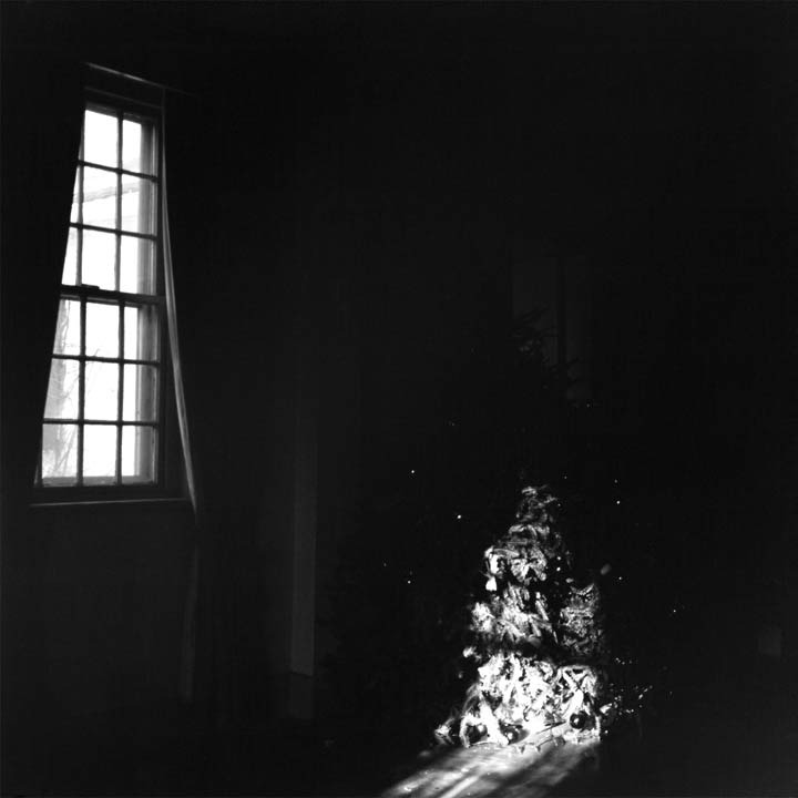 Fragments(X-mas Tree) - 2006, black/white photography - 20